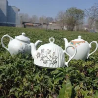 قوری|پادری|لاهیجان, حاجی آباد|دیوار