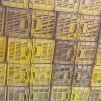 سبد بزرگ 25کیلویی در حد نو