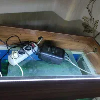 اکواریوم 100 لیتری|ماهی|پرند, فاز ۲|دیوار