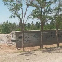 زمین-باغچه12ساله-تکبرگ-سهیلیه-زعفرانیه-زکی-آباد