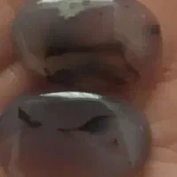 سنگ روباه و زاغ