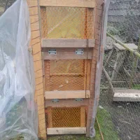 جفتگاه کبوتر