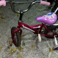 دوچرخه ویوا اصل۲۴