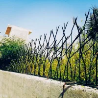 خدمات ساختمانی (کیفیت و دوام)|خدمات پیشه و مهارت|بوشهر, |دیوار