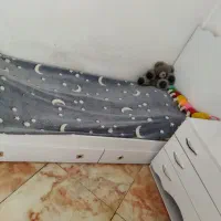 تخت نوزاد نوجوان|تخت و سرویس خواب|شیراز, شریفآباد|دیوار