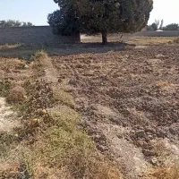 فروش زمین مناسب کارخانه یا ویلادر اسفهلان ینگی کند|فروش زمین و ملک کلنگی|خسروشاه, |دیوار