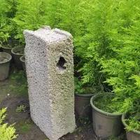 لاوسون سطل 12(کاج) لاوسون سطل 3،سرو شیراز نایلکسی