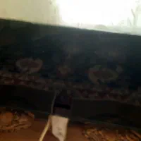 تلوزیون امپرال