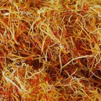 سی کیلو ریشه زعفران پر سرخ ممتاز (قیمت مناسب)