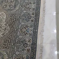 فرش کرم سبز|فرش|کرج, گلشهر|دیوار