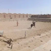 آموزش سوارکاری