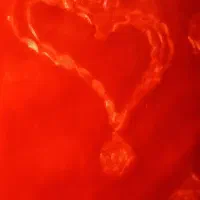 پتو|رختخواب، بالش، پتو|فردیس, منظریه|دیوار