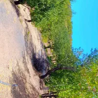 باغ پل زمانخان ویو رودخانه معاوضه خودرو