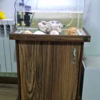 فروش فوری آکواریوم با تمامی امکانات