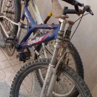 دوعدد دوچرخه