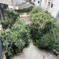 فروش-زمین241متری-سندداردوکله-ابتدای-فلکه-جهاد