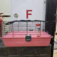 قفس خرگوش