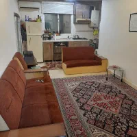فرش ۶ متری تمیز