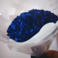 گل ربانی