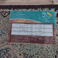 فرش ۶ متری فرهی|فرش|قرچک, مهدیه|دیوار