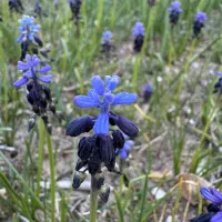 عکاس و ادمین