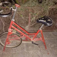 دوچرخه ثابت