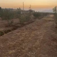 باغ پسته|فروش زمین و ملک کلنگی|شیراز, حومه شیراز|دیوار