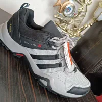 کفش|کیف، کفش، کمربند|کرمان, |دیوار