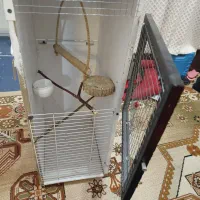 قفس چوبی دست ساز مناسب برای مرغ عشق و فنچ و قناری|لوازم جانبی حیوانات|سیرجان, |دیوار