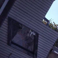 نصب کاشی و سرامیک به صورت چسبی ودوغابی|خدمات پیشه و مهارت|فولادشهر, B5|دیوار