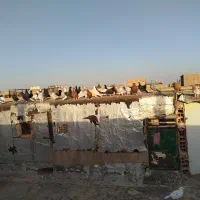 کفتر فروشی|پرنده|سبزوار, کهنه آب|دیوار