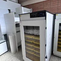 نمایندگی فروش دستگاه جوجه کشی هدایت|لوازم جانبی حیوانات|برازجان, |دیوار