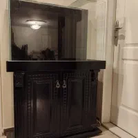 آکواریم|ماهی|تهران, کوی بیمه|دیوار