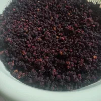 تَمِشک وحشی|خوردنی و آشامیدنی|ارژن, |دیوار