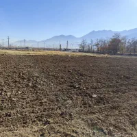 سلام زمین نزدیک محدوده پشت اداره کشاورزی|فروش زمین و ملک کلنگی|شازند, |دیوار