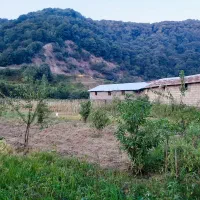 فروش زمین زراعی