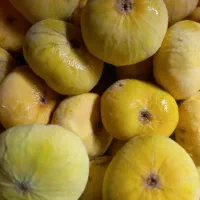 انجیر|خوردنی و آشامیدنی|چناران, |دیوار