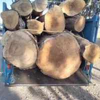 خریدار انواع چوب|خدمات باغبانی و درختکاری|ساوه, |دیوار