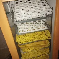 دستگاه جوجه کشی ۲۵۲ تایی سیمرغ|ماشینآلات صنعتی|سپیدان, |دیوار