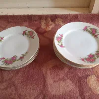 ۱۲ عدد بشقاب چینی