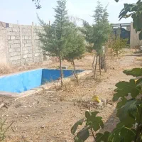260 استخر دار نقد و اقساط