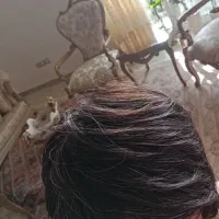 کلاه گیس موی طبیعی کوتاه|آرایشی، بهداشتی، درمانی|رشت, شهرک قدس|دیوار