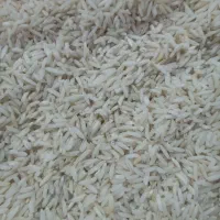 برنج محلی هاشمی