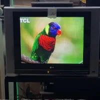 تلویزیون الجی 29ً