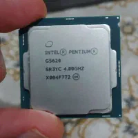 سی پی یو اینتل مدل Pentium Gold G5620