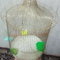 قفس طرح آویز