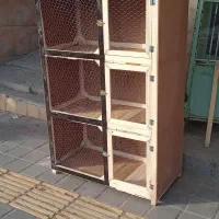 جفت کن چوبی|لوازم جانبی حیوانات|نهاوند, |دیوار