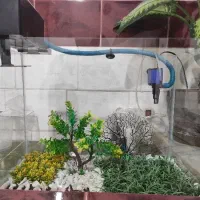 اکواریوم ۶۰ لیتری