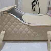 کریکات نوزاد