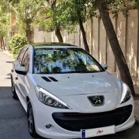 207 دنده سقف پانا